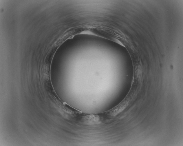 X0000068260421200604211049