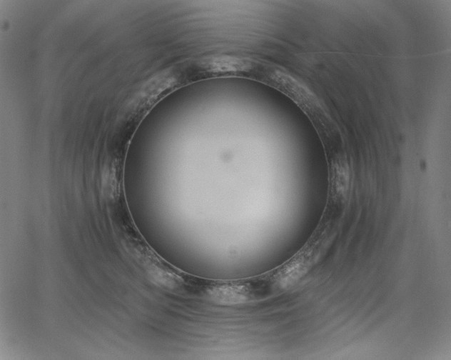 X0000068260422200604211049