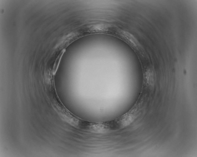 X0000068260423200604211049