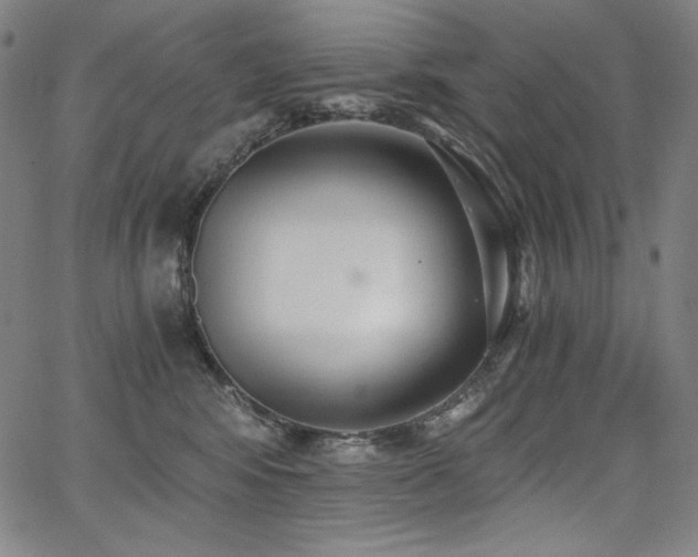 X0000068260424200604211049