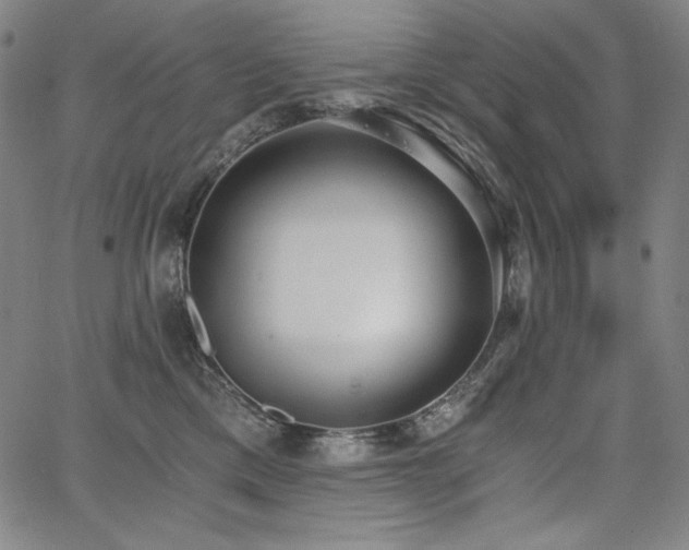 X0000068260425200604211049