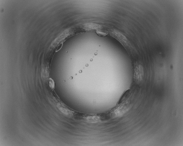 X0000068260426200604211049