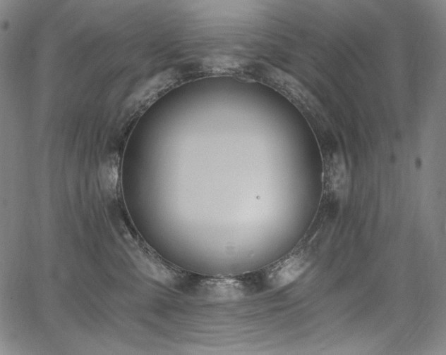 X0000068260427200604211049