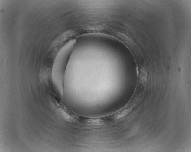 X0000068260428200604211049