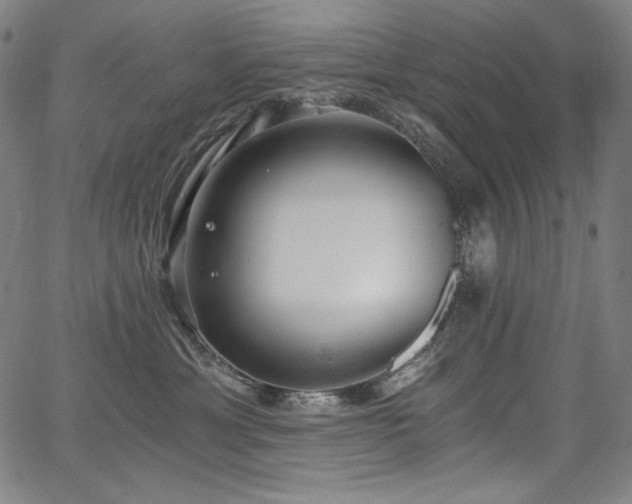 X0000068260429200604211049