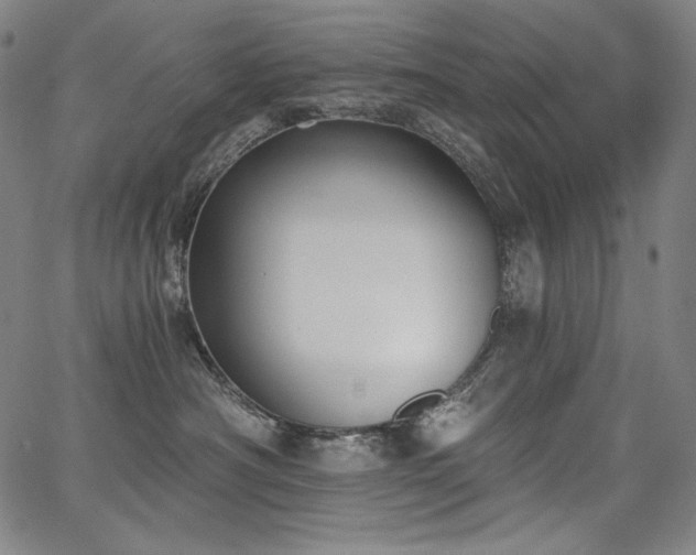 X0000068260430200604211049