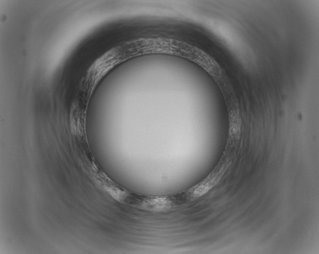 X0000068260431200604211049