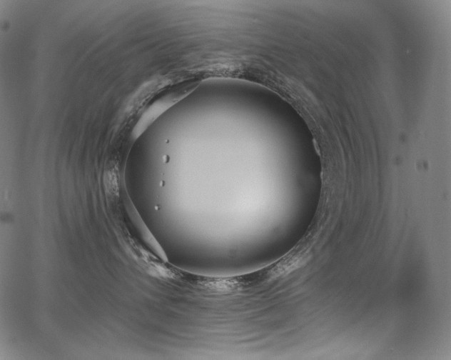 X0000068260432200604211049