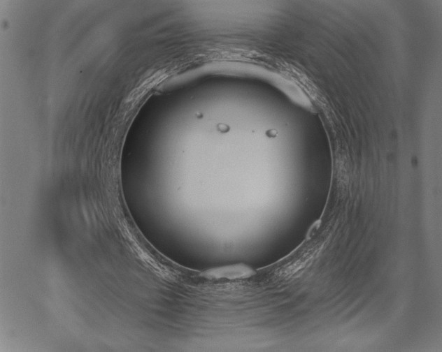 X0000068260433200604211048