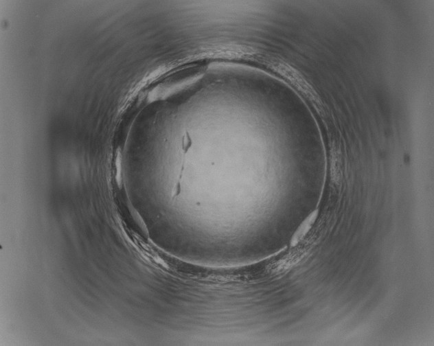 X0000068260434200604211048