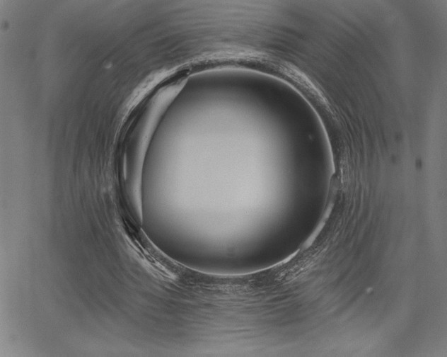 X0000068260436200604211049