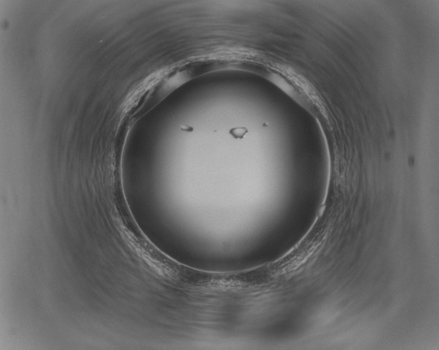 X0000068260437200604211049