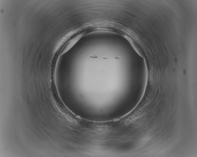 X0000068260438200604211049