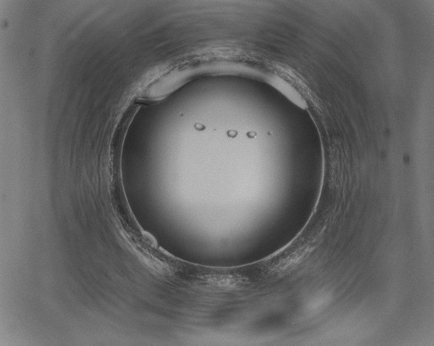 X0000068260439200604211049