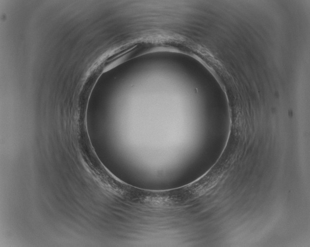 X0000068260440200604211049