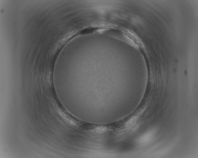 X0000068260441200604211049