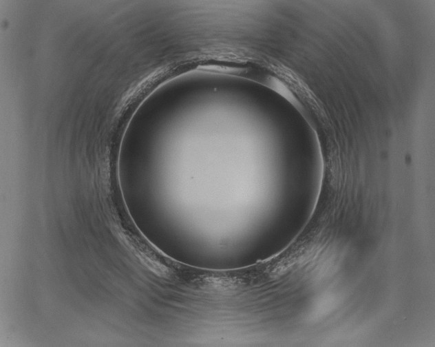 X0000068260442200604211049