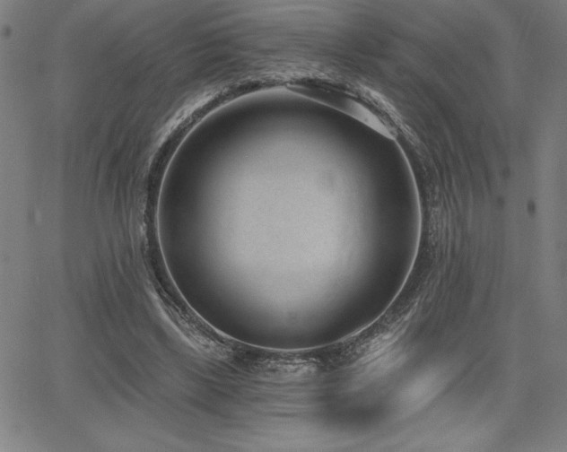 X0000068260443200604211049