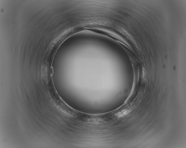 X0000068260444200604211049