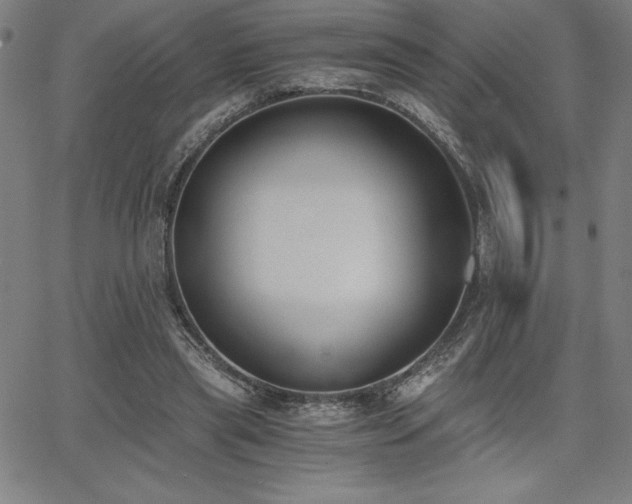 X0000068260445200604211049