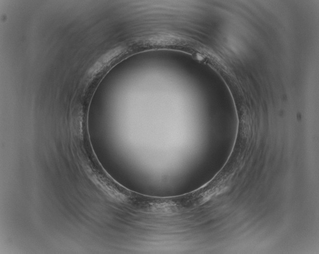 X0000068260446200604211049