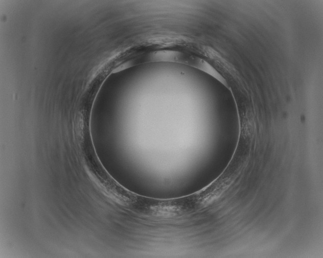 X0000068260448200604211049