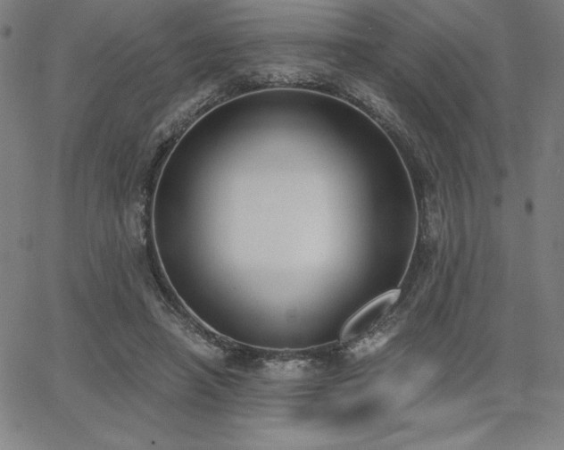 X0000068260450200604211049