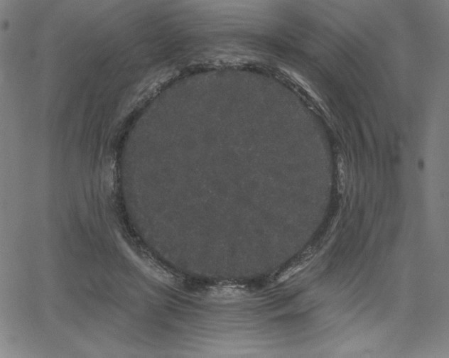 X0000068260451200604211049