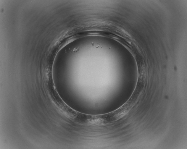 X0000068260452200604211049