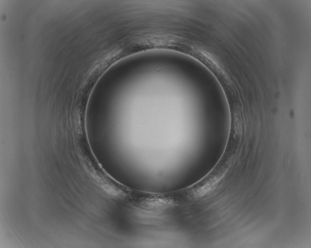 X0000068260453200604211049