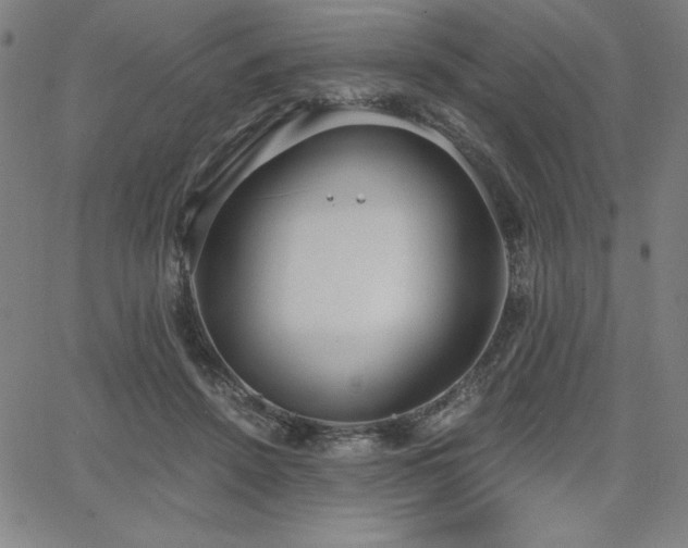 X0000068260456200604211049