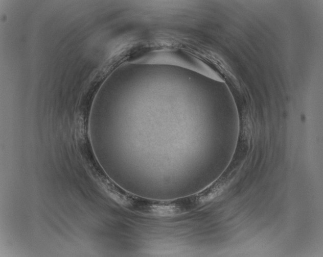 X0000068260457200604211049