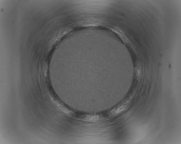 X0000068260458200604211049