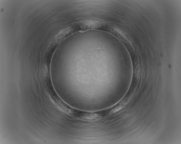 X0000068260459200604211049