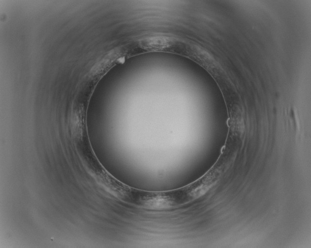 X0000068260460200604211049