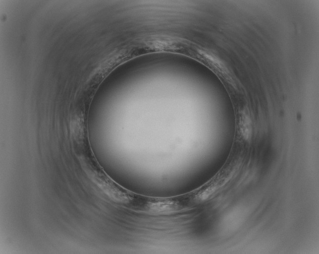 X0000068260461200604211049