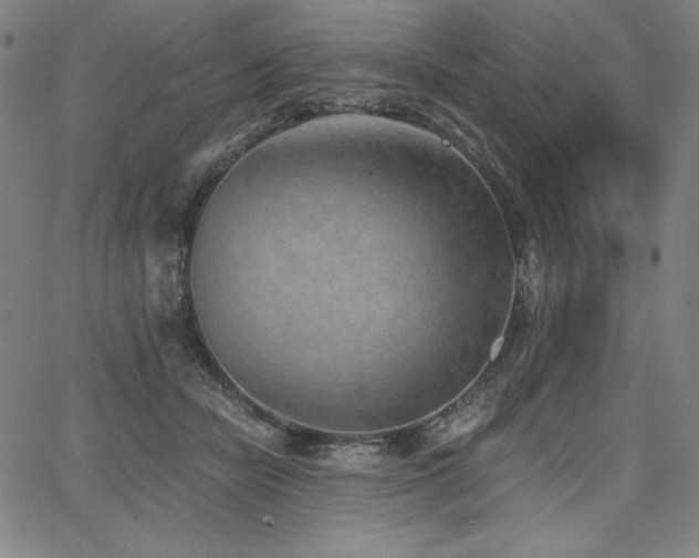 X0000068260462200604211049