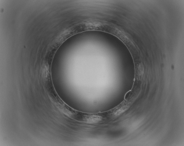 X0000068260463200604211049