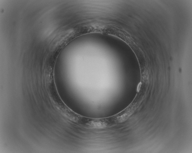 X0000068260464200604211049