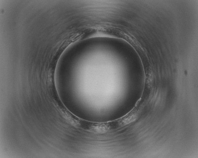 X0000068260466200604211049