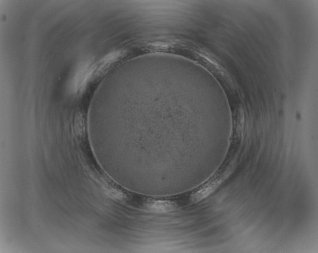 X0000068260467200604211049