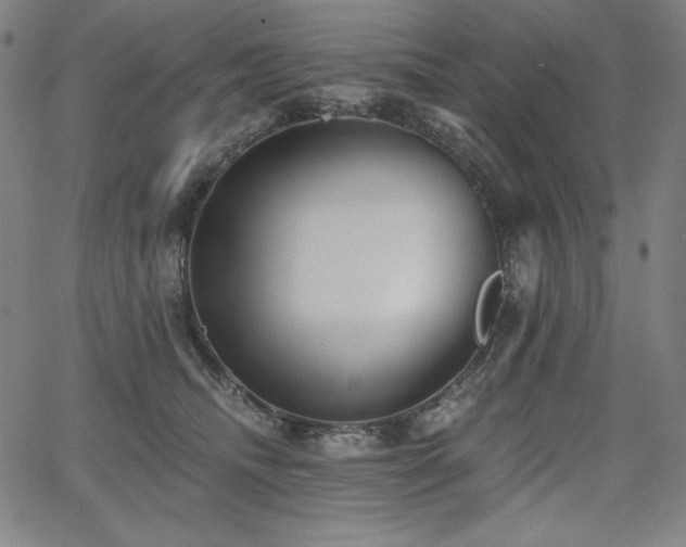 X0000068260468200604211049