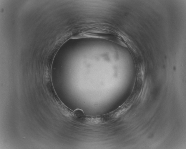 X0000068260469200604211049