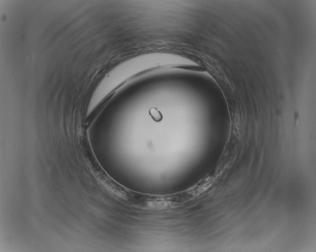 X0000068260470200604211049