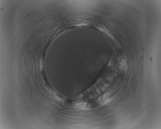 X0000068260471200604211049