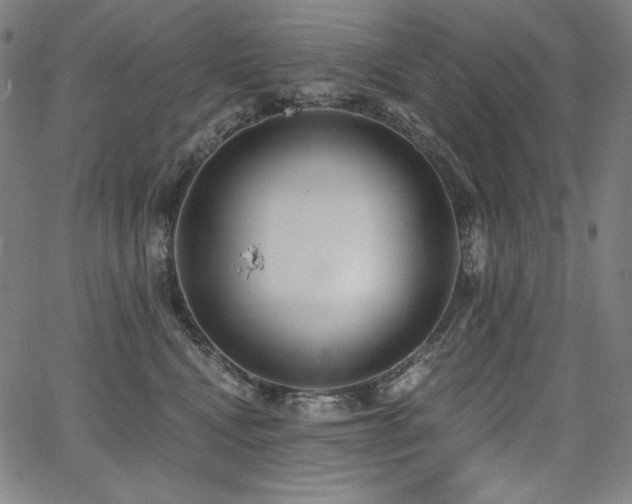 X0000068260472200604211049