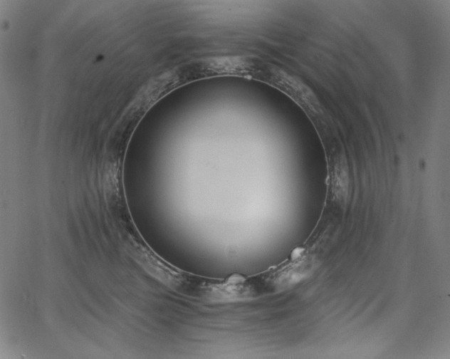 X0000068260473200604211049