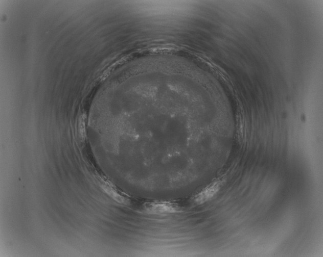 X0000068260475200604211049