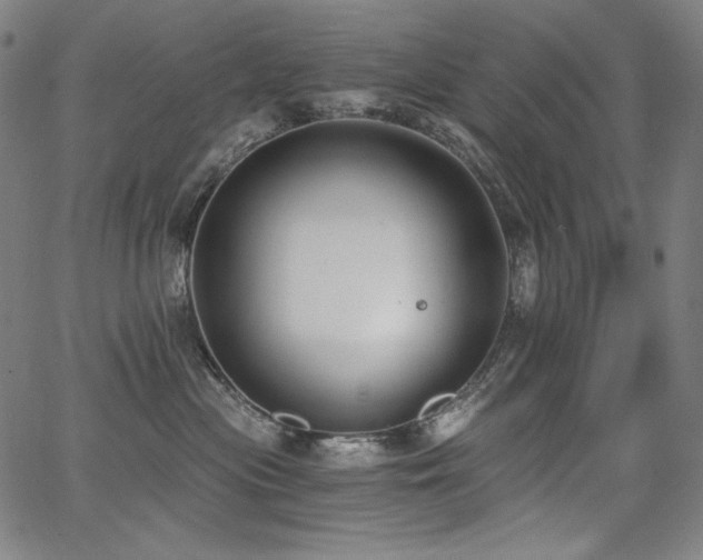 X0000068260477200604211049