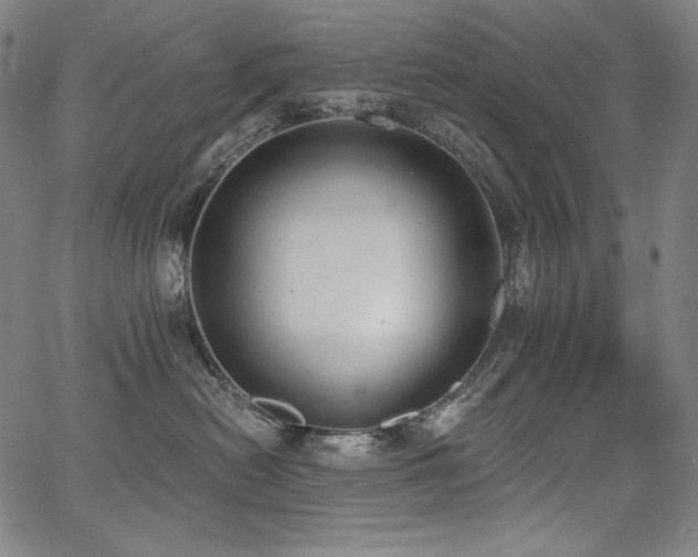 X0000068260478200604211049